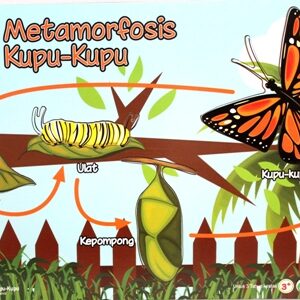 Puzzle Stiker Metamorfosis Kupu-kupu — mainan kayu edukatif Nobie Toys