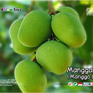 Puzzle sticker 17x20 MANGGA — mainan kayu edukatif Nobie Toys