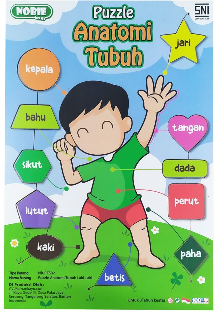 Puzzle stiker Anatomi Tubuh laki laki — mainan kayu edukatif Nobie Toys