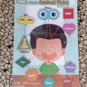 Puzzle stiker anatomi wajah laki laki — mainan kayu edukatif Nobie Toys