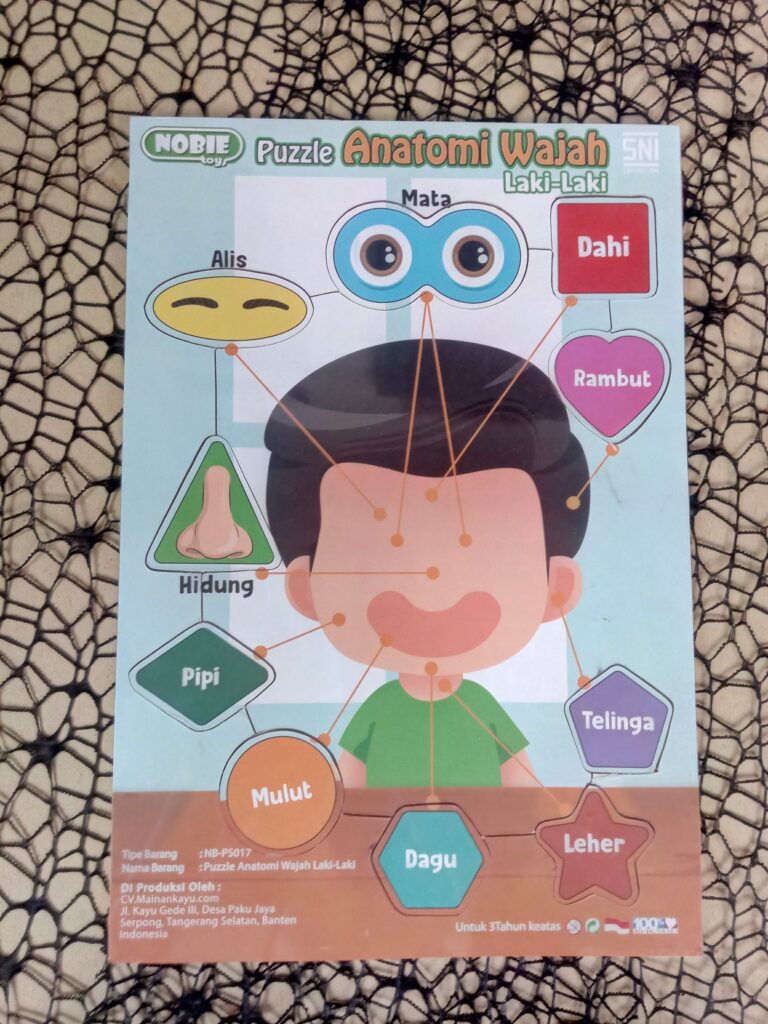 Puzzle stiker anatomi wajah laki laki Puzzle stiker anatomi wajah laki laki — mainan kayu edukatif Nobie Toys